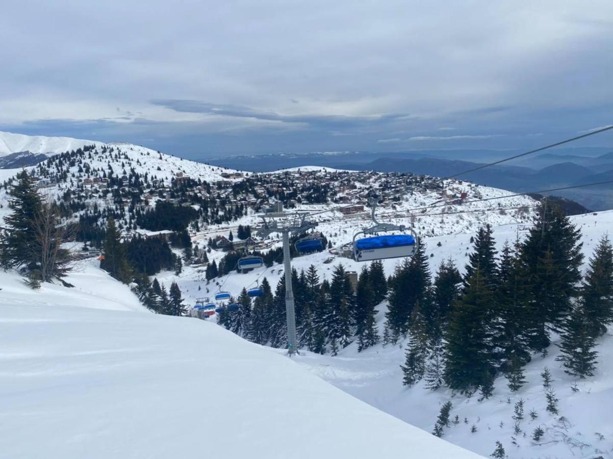 Villa 80 Kodra E Diellit Τέτοβο Εξωτερικό φωτογραφία